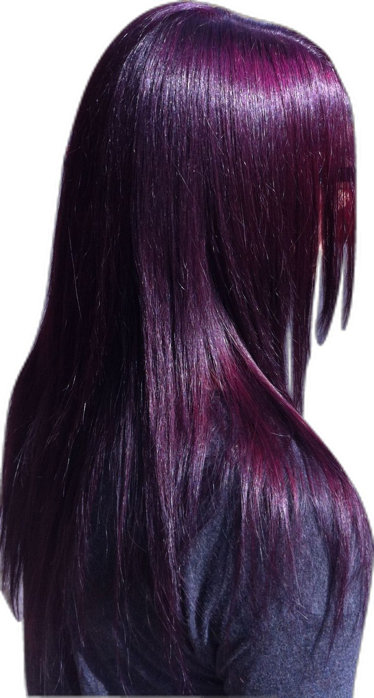 CHAMPU CHAO CANAS CON TRATAMIENTO